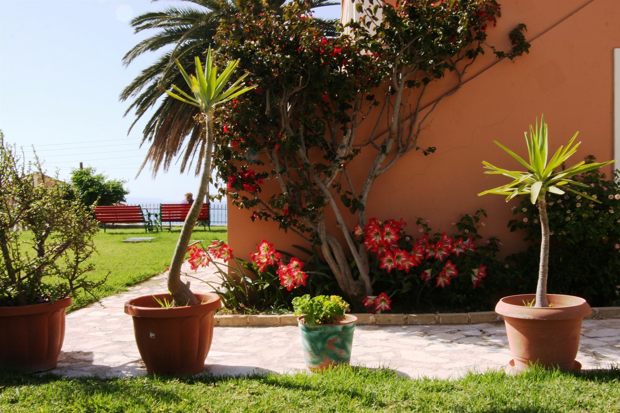 Nikos & Katerina Studios Agios Stefanos Avliotes  Exteriör bild