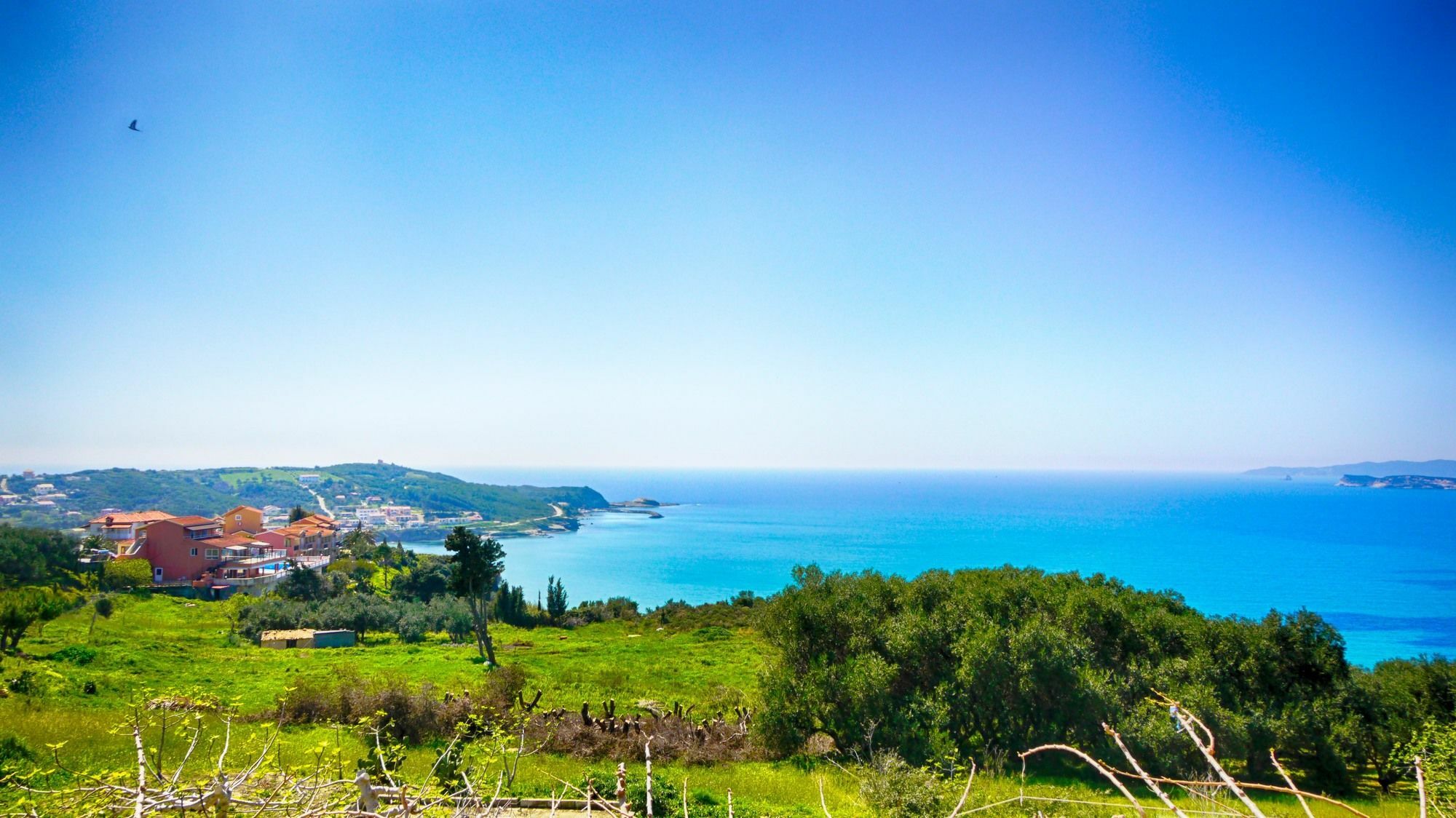 Nikos & Katerina Studios Agios Stefanos Avliotes  Exteriör bild